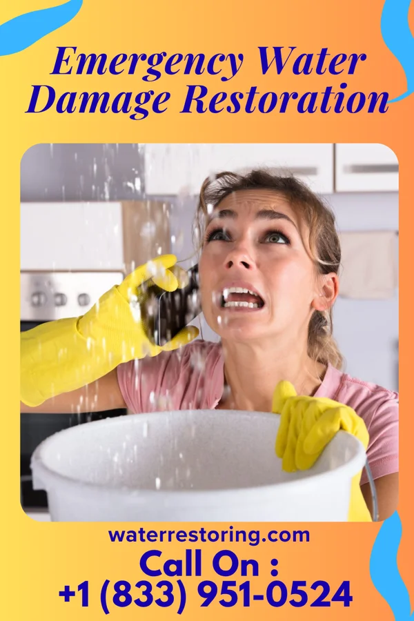 Emergency Water Damage Restoration in Elizabeth, IN