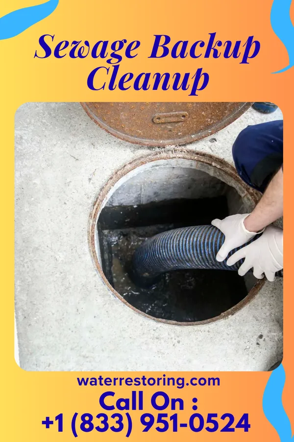 Sewage Backup Cleanup in Elizabeth, IN