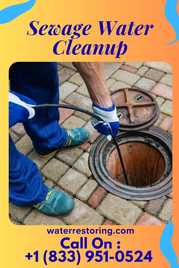 Sewage Water Cleanup in Elizabeth, IN